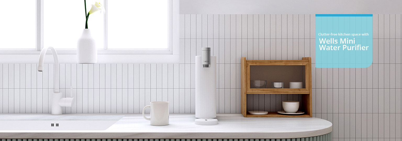 Wells Mini Water Purifier